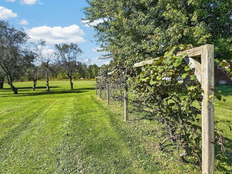 3737 Simmons Church Road , Centerburg, OH 43011 Photo 49