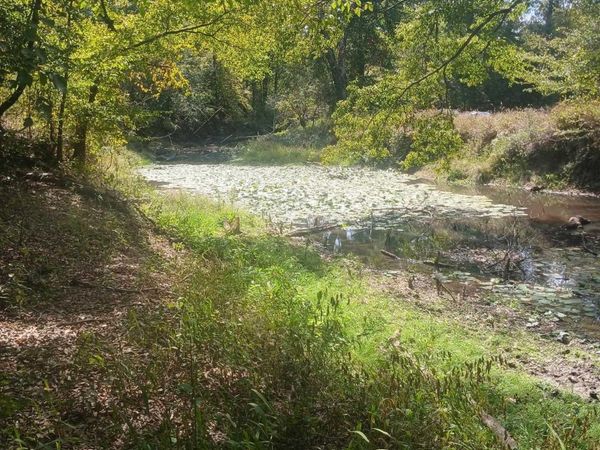 33.00 Acres HWY 270 , Poyen, AR 72128