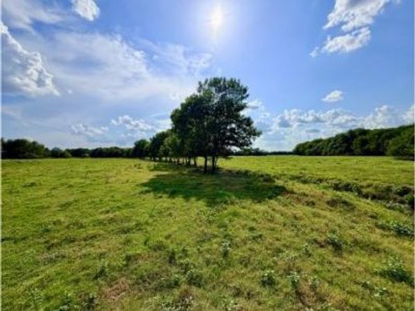 TBD CR 2145 , Cooper, TX 75432