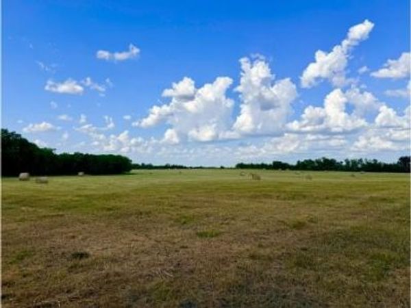 TBD CR 2145 , Cooper, TX 75432
