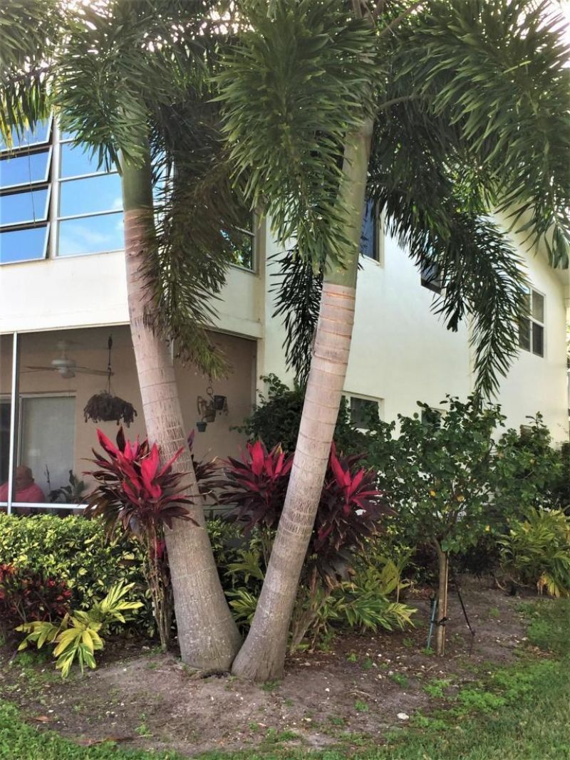237 Sheffield J, West Palm Beach, FL 33417 Photo