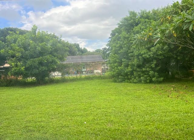 4214 Waverly Drive, West Palm Beach, FL 33407 Photo