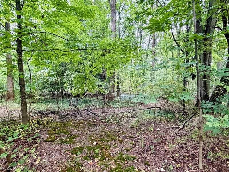 1751 E Turkeyfoot Lake Road, Akron, OH 44312 Photo 21