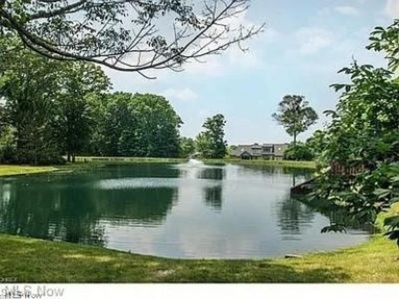 878 Hampton Court, Sagamore Hills, OH 44067 Photo 49