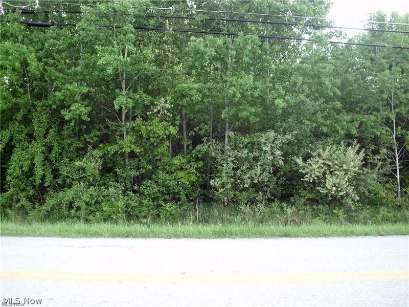 674 Rome Rock Creek Road, Roaming Shores, OH 44084 Photo 2