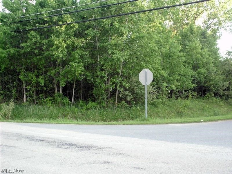 674 Rome Rock Creek Road, Roaming Shores, OH 44084 Photo 3