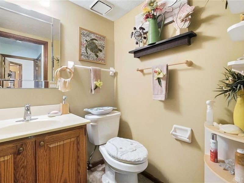 3366 Sea Turtle Drive, Butler Township, OH 45414 Photo 60