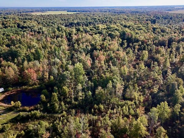 190 N Crawford Road, Twining, MI 48766