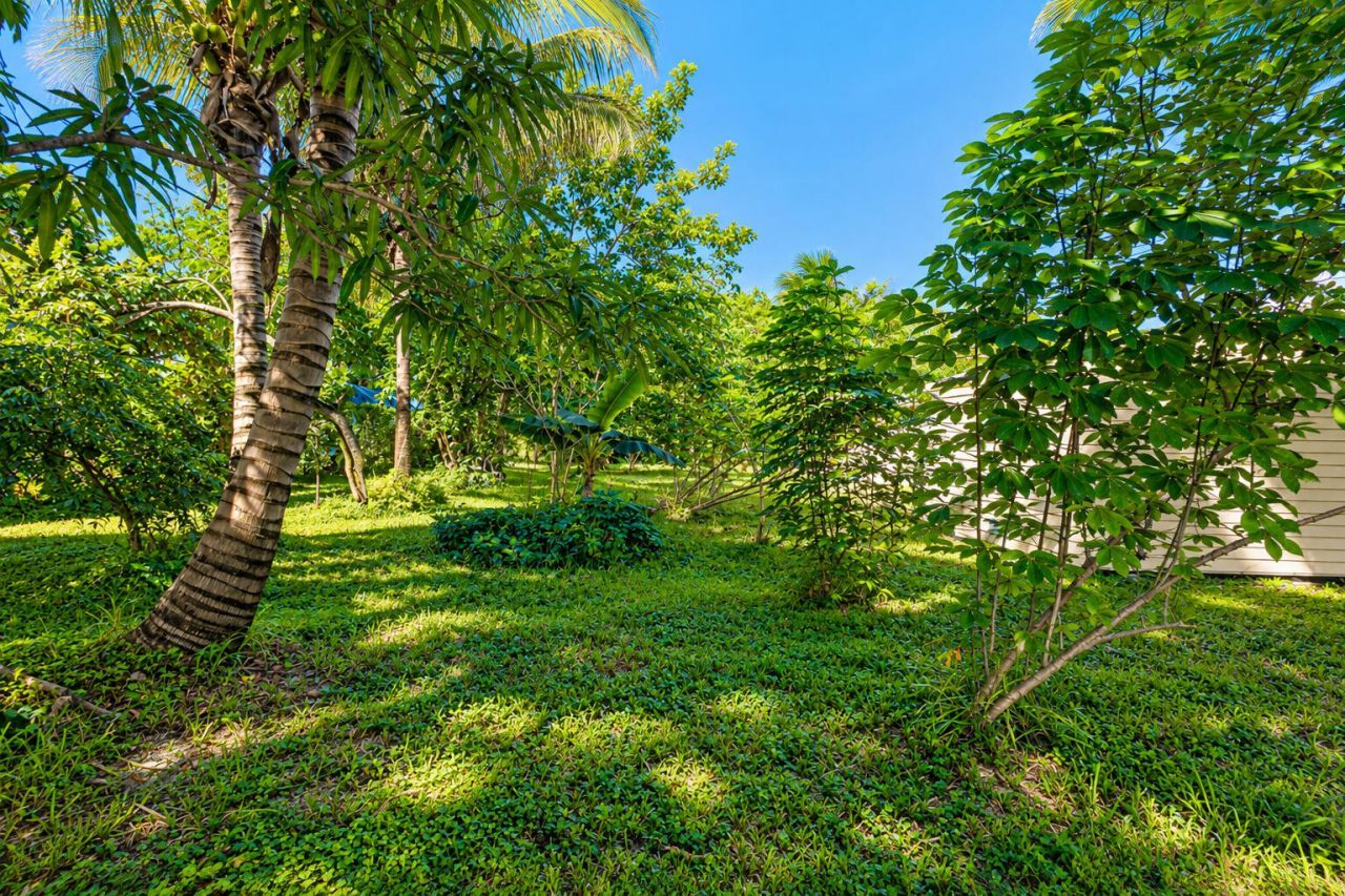 639 Madeline Court, West Palm Beach, FL 33413 Photo