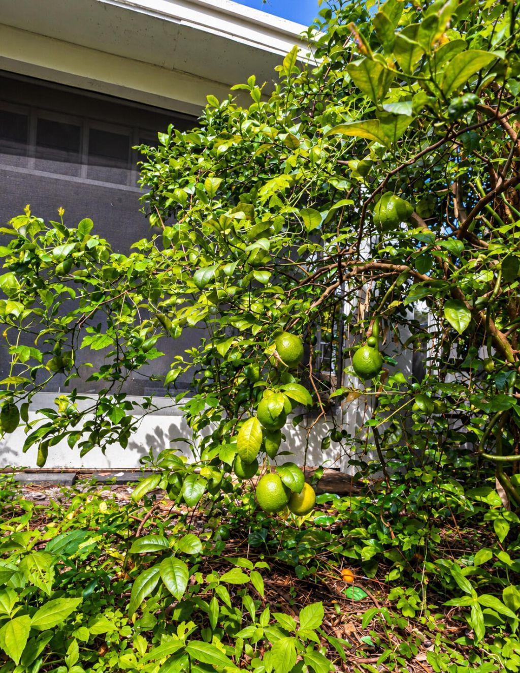639 Madeline Court, West Palm Beach, FL 33413 Photo