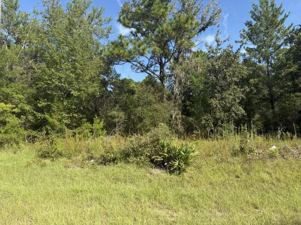 Tbd 79th terrace Road, Dunnellon, FL 34432