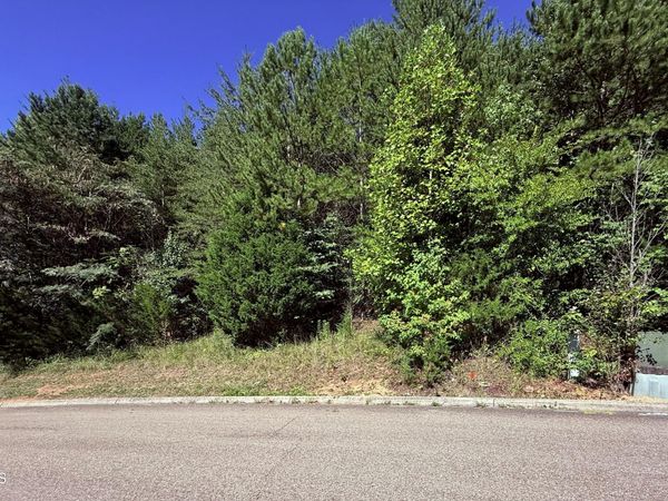 1033 Crown Ridge Lane, Powell, TN 37849