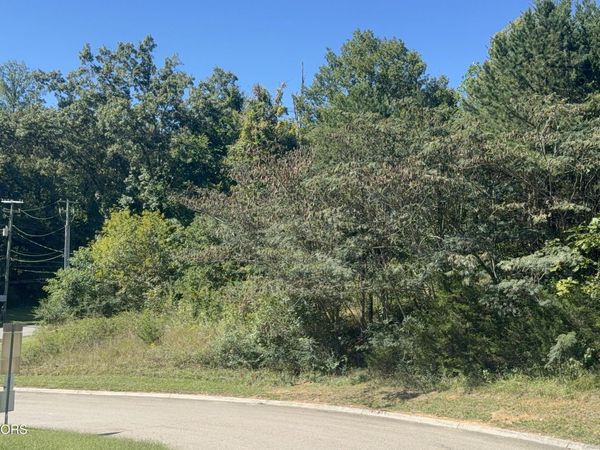 1041 Crown Ridge Lane, Powell, TN 37849