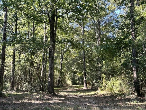 Dickey Mills Road, Magnolia, MS 39652