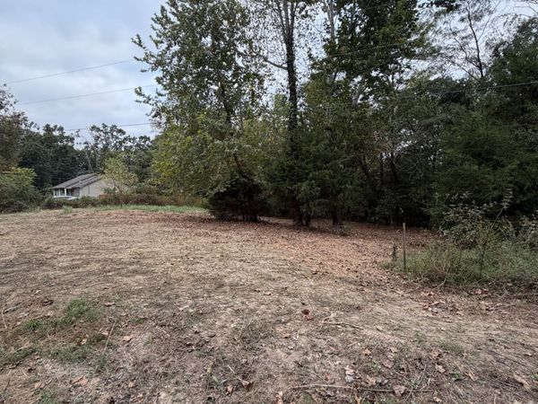 2218 Gina Ln , Mount Pleasant, TN 38474