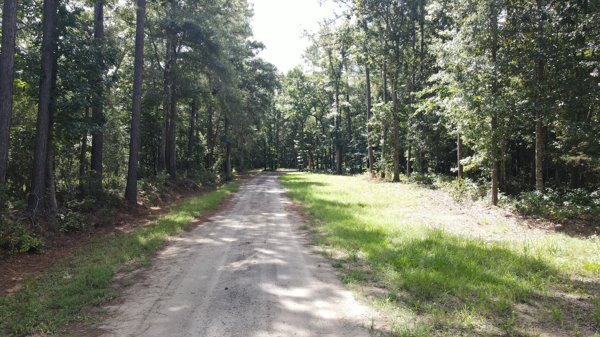 4503 Chisolm Road Photo 17