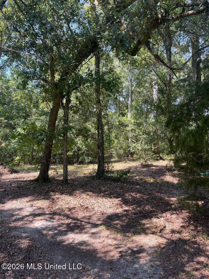 17241 Old Joe Moran Road, Kiln, MS 39556 Main Photo