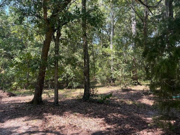 17241 Old Joe Moran Road, Kiln, MS 39556