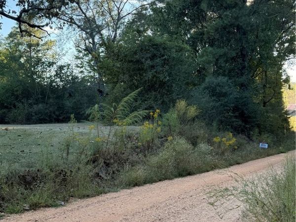 618 Grover Pate Road, Gordo, AL 35466