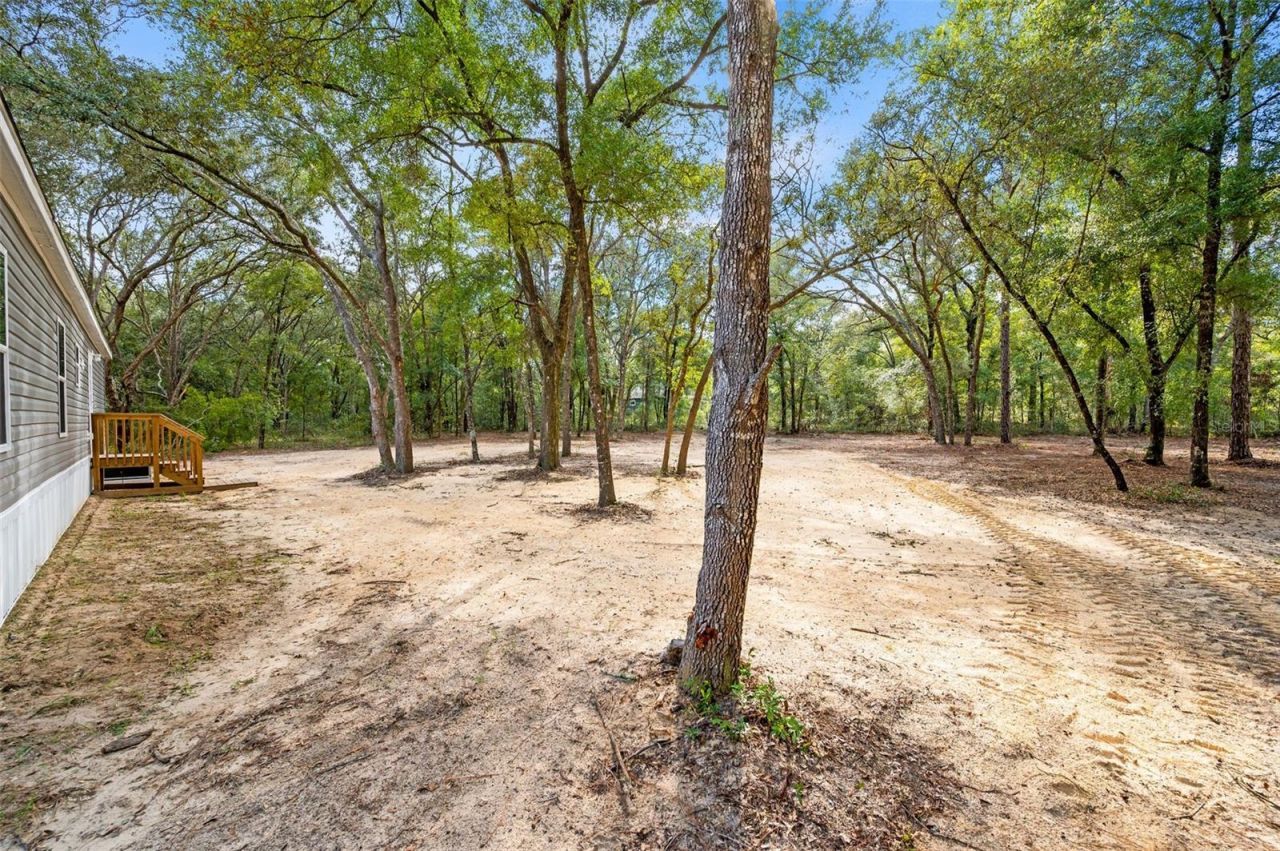 8050 NE 102nd Court, Bronson, FL 32621 Photo