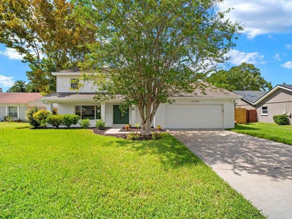12206 SNEAD PLACE , TAMPA, FL 33624