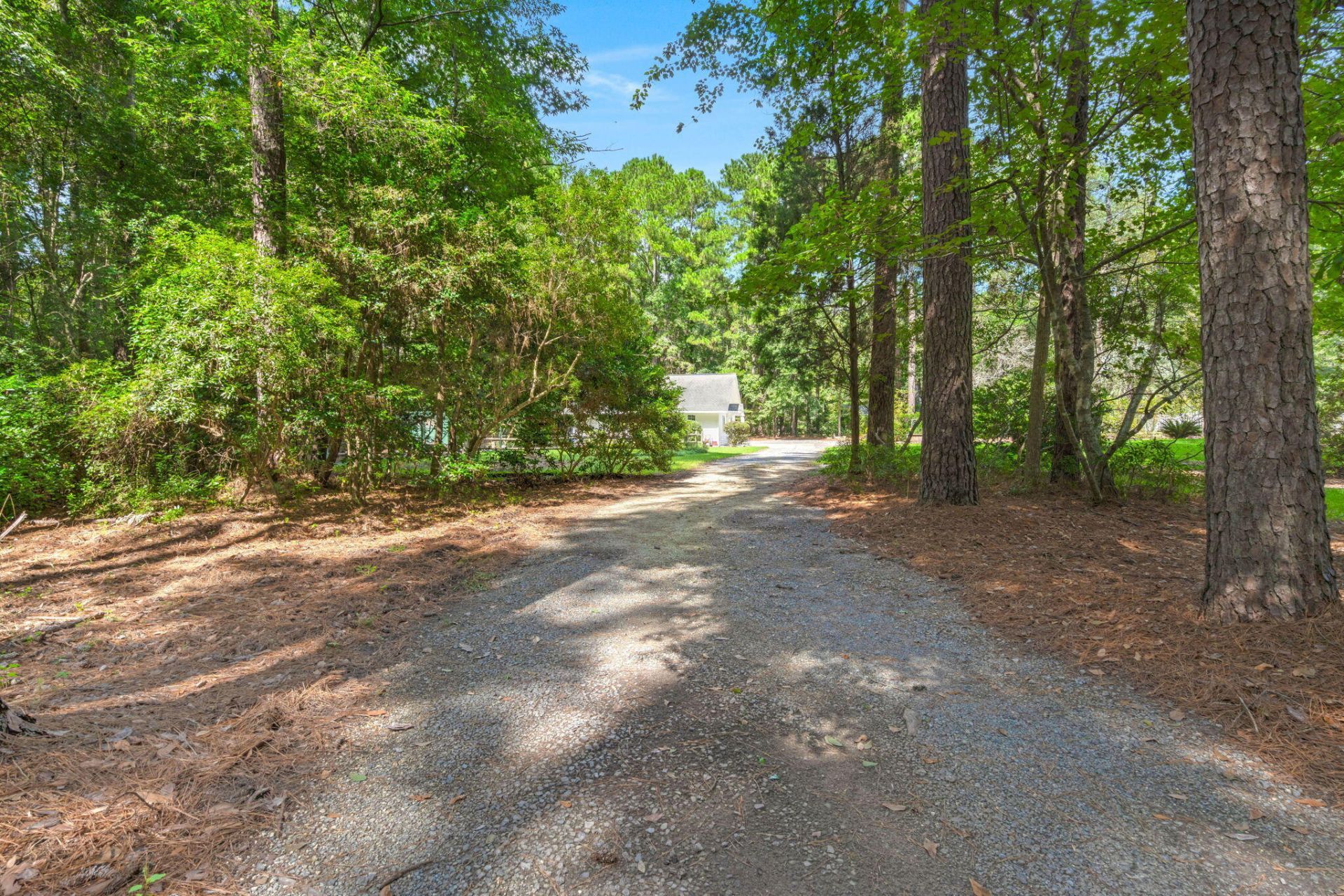 102 Caveson Drive Photo 49