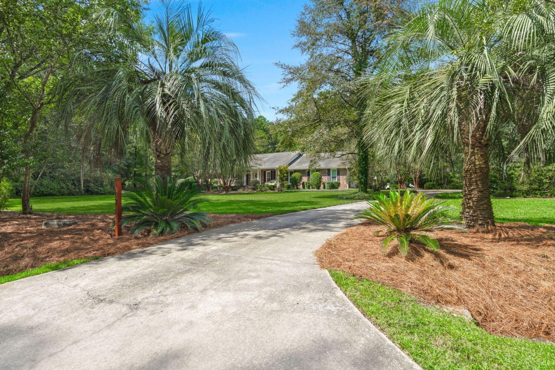 102 Caveson Drive Photo 64