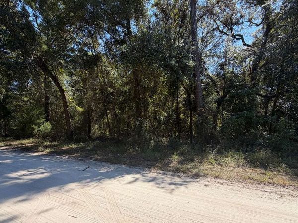 TBD NE GOLD DUST ROAD, Branford, FL 32008