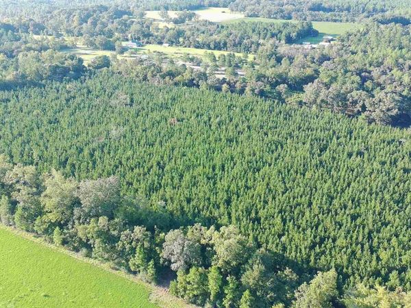 20 Acres Lewis Rd, Milton, FL 32570