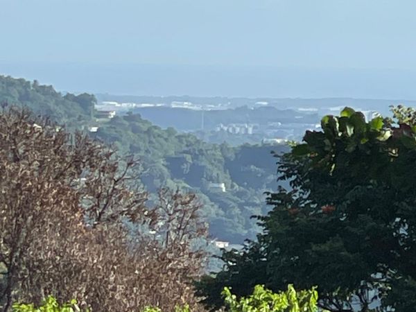 Km. 3.5 159, Morovis, PR 00687