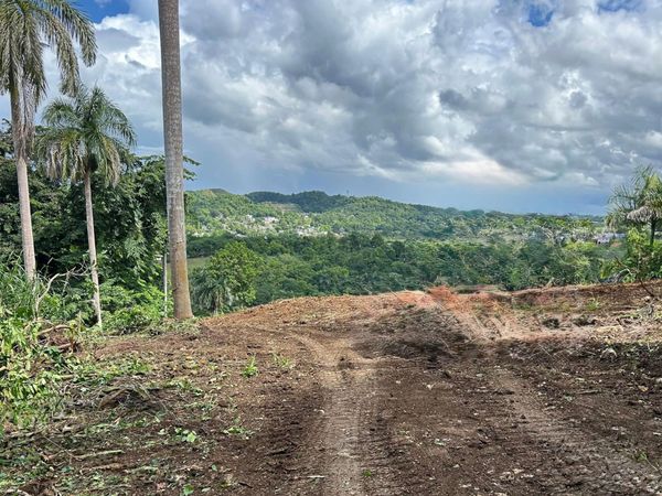 Km. 3.5 159, Morovis, PR 00687