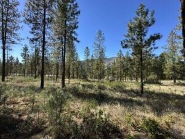 1176 FUMI Cir, Kettle Falls, WA 99141