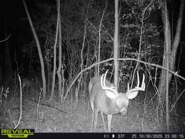 TBD Stark Road, Harris, MN 55032