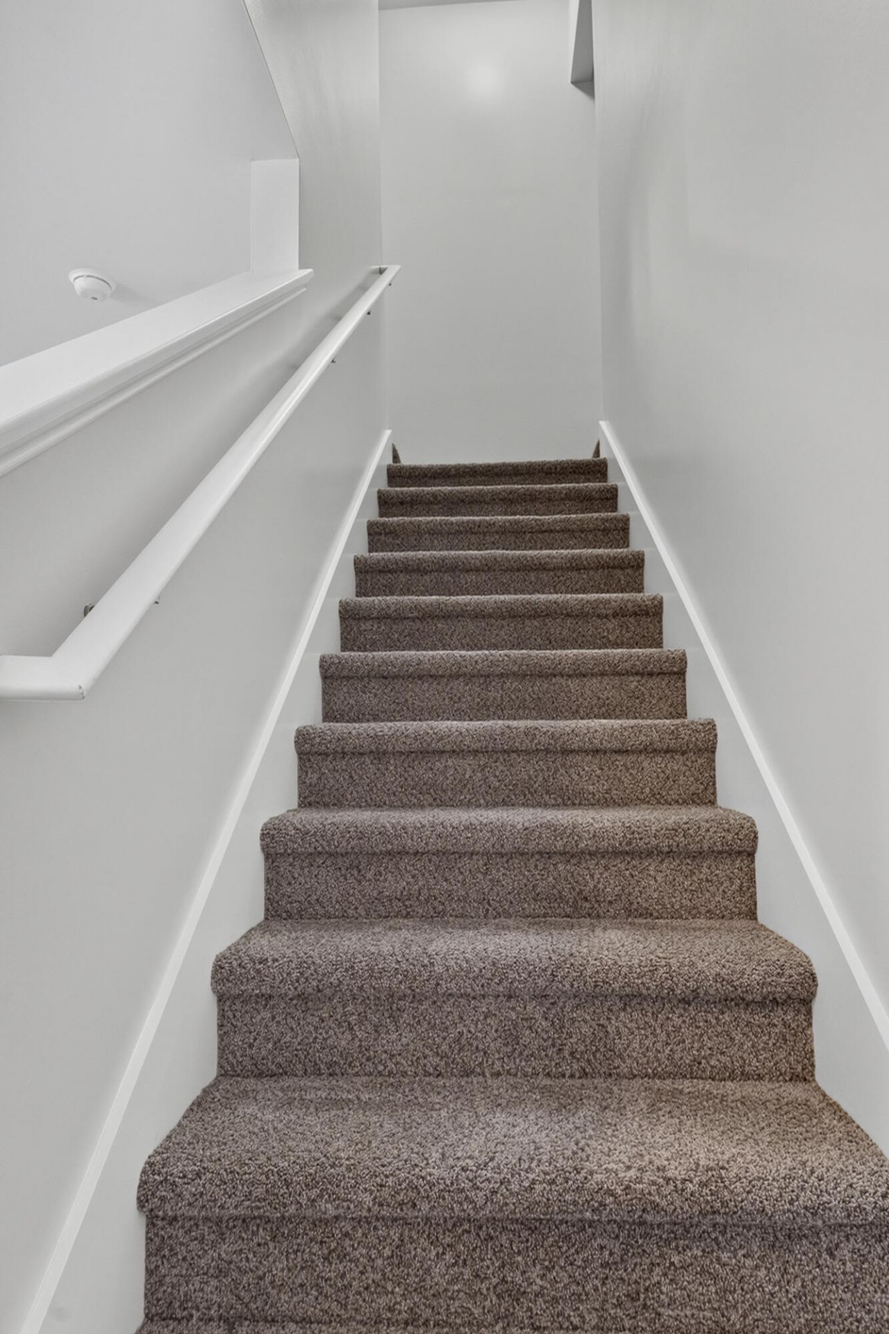 8960 Buck Run Court Photo 46