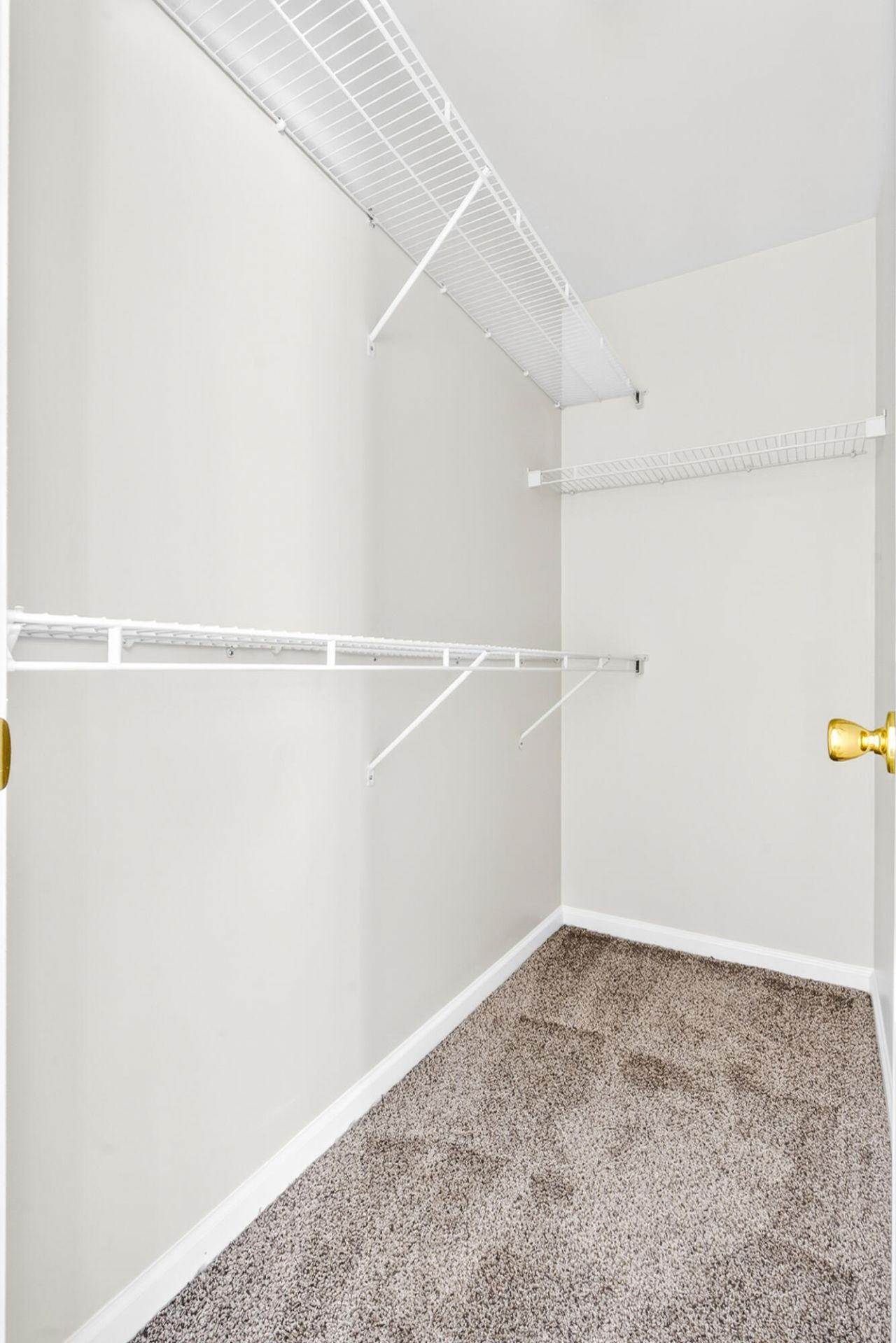8960 Buck Run Court Photo 66