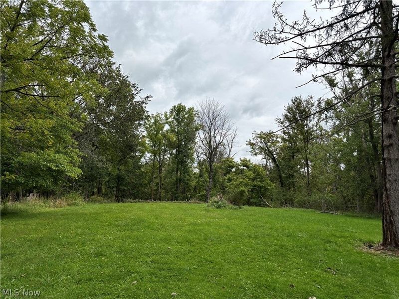 787 ARCHER Road, Bedford, OH 44146 Photo 7