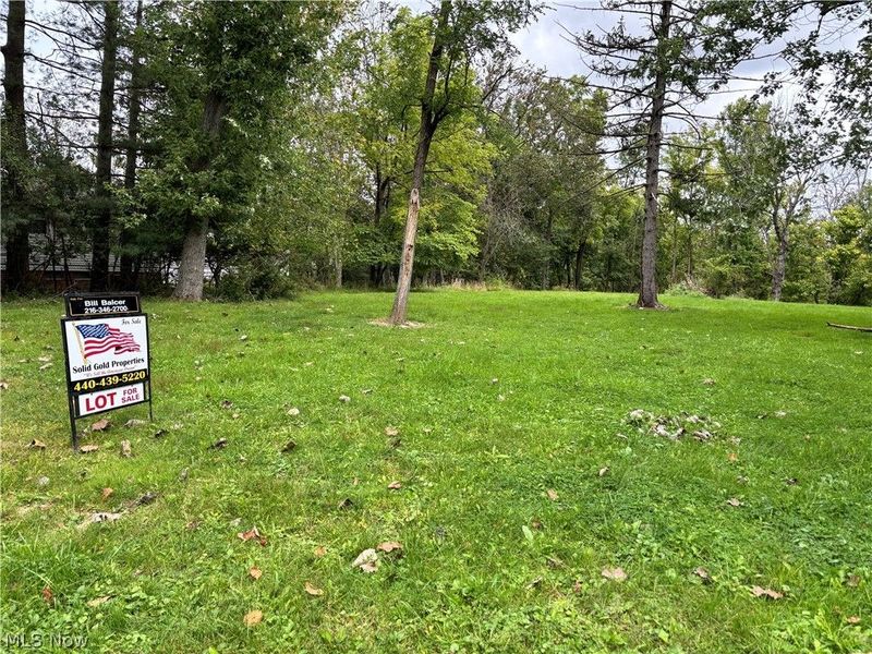 787 ARCHER Road, Bedford, OH 44146 Photo 8