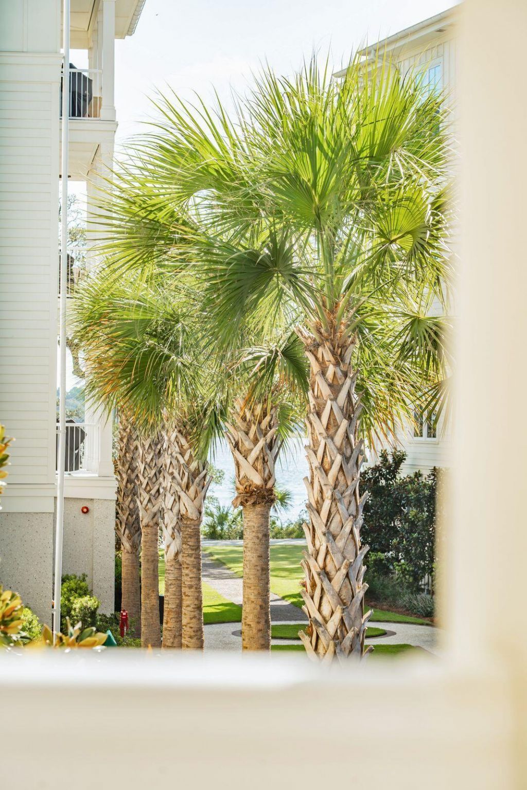 320 Longshore Street Photo 14