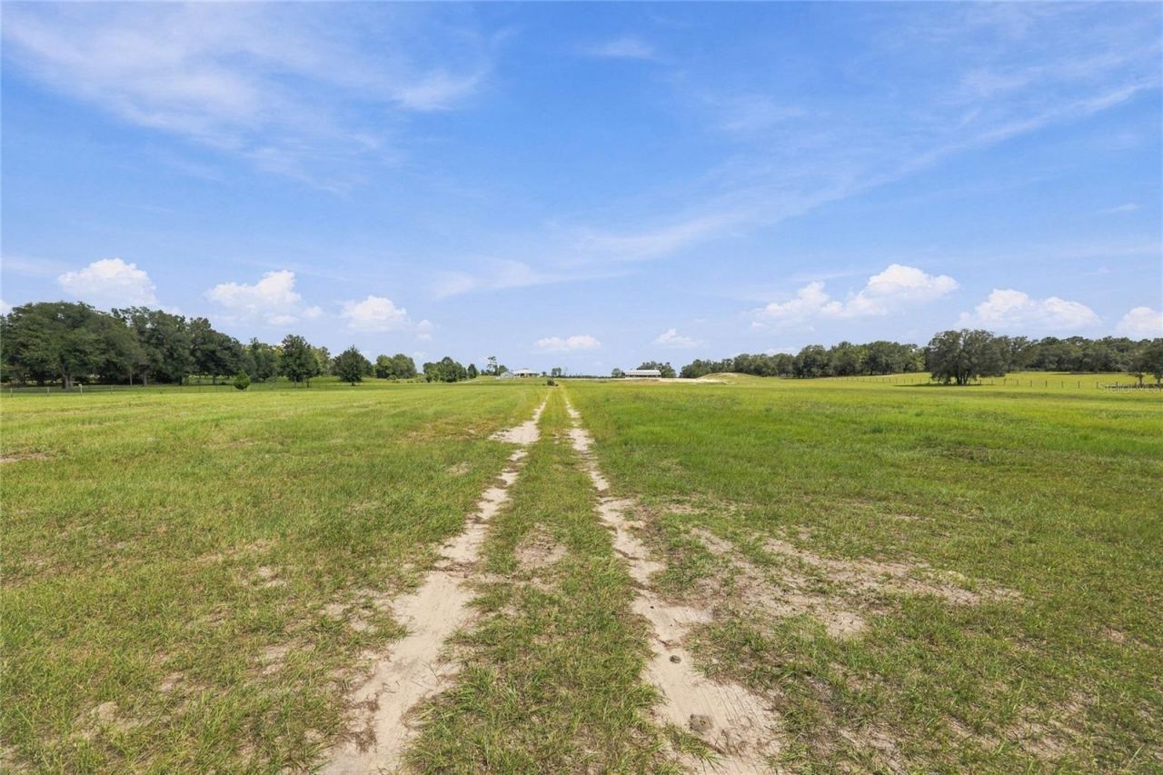 12391 NE 80th Avenue , Bronson, FL 32621 Photo
