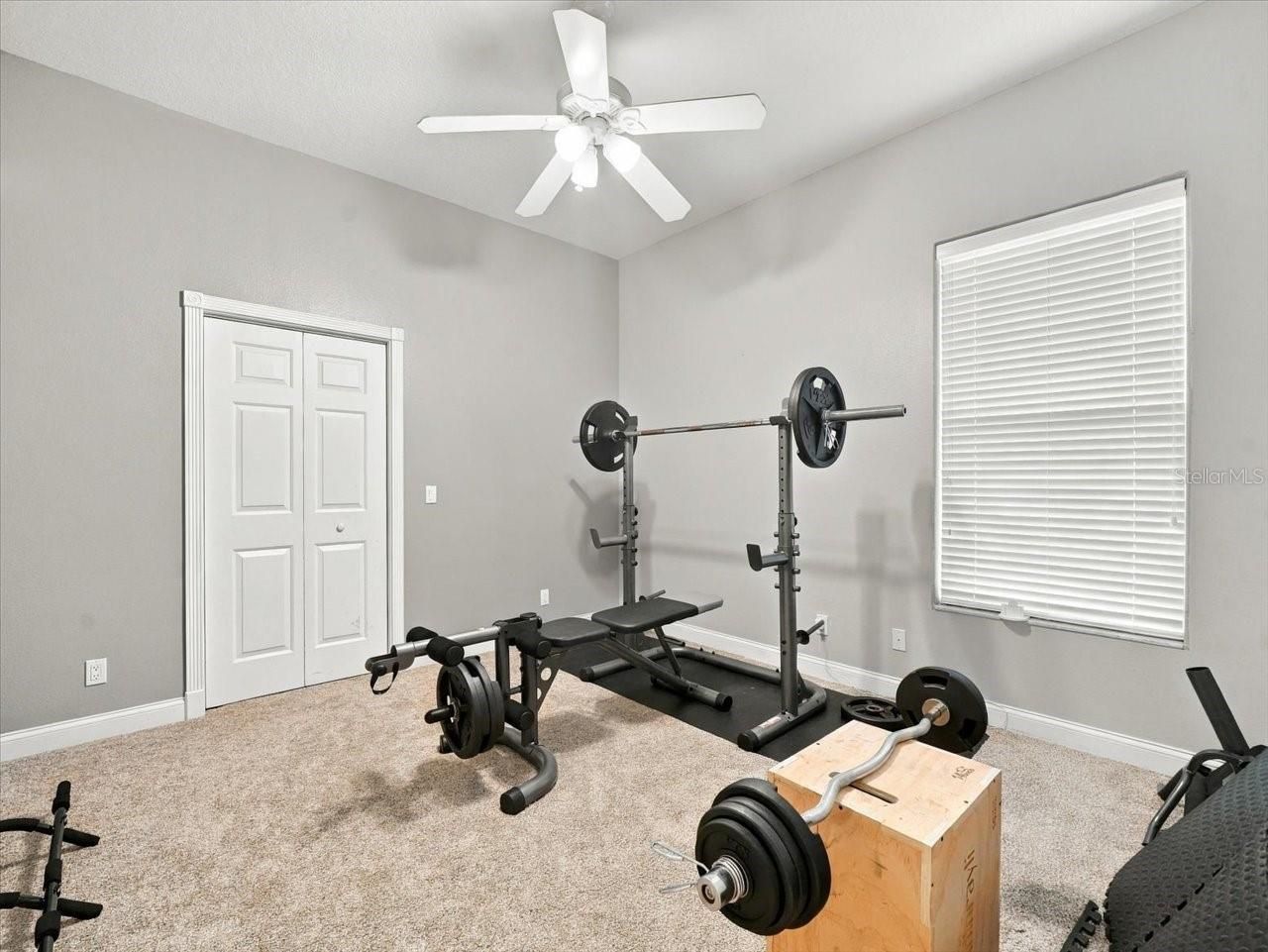 18829 Geraci Road, Lutz, FL 33548 Photo