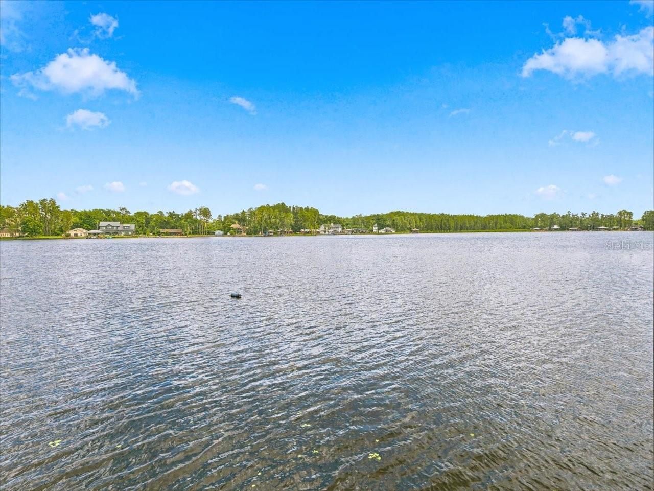 18829 Geraci Road, Lutz, FL 33548 Photo