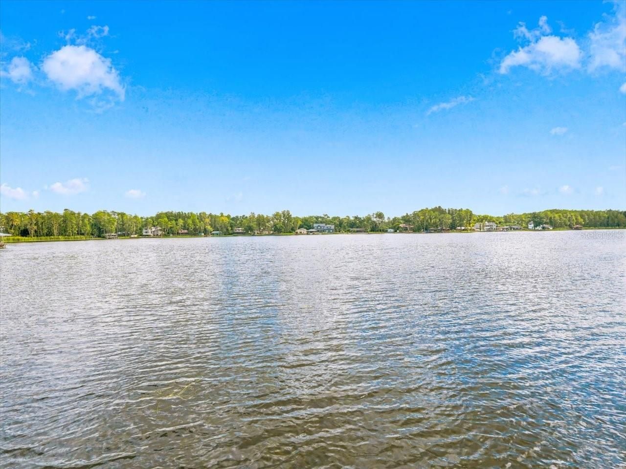 18829 Geraci Road, Lutz, FL 33548 Photo
