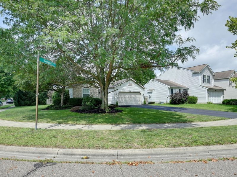 9183 Prestwick Green Drive, Columbus, OH 43240 Photo 3