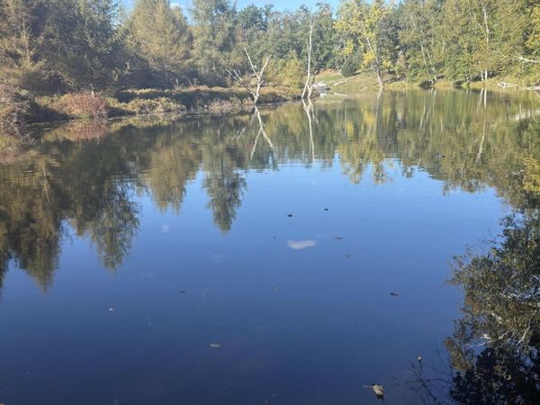 9025 Boggie Drive, Canadian Lakes, MI 49346
