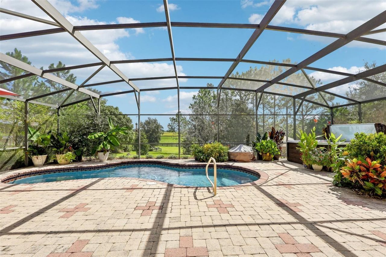 32736 Wolfs Trail , Sorrento, FL 32776 Photo