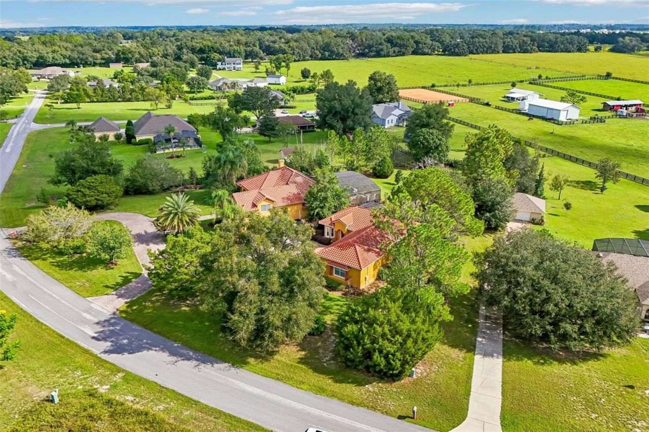 32736 Wolfs Trail , Sorrento, FL 32776 Photo
