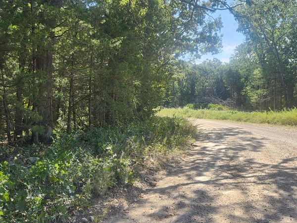 13239 County Road 290 , Flemington, MO 65650