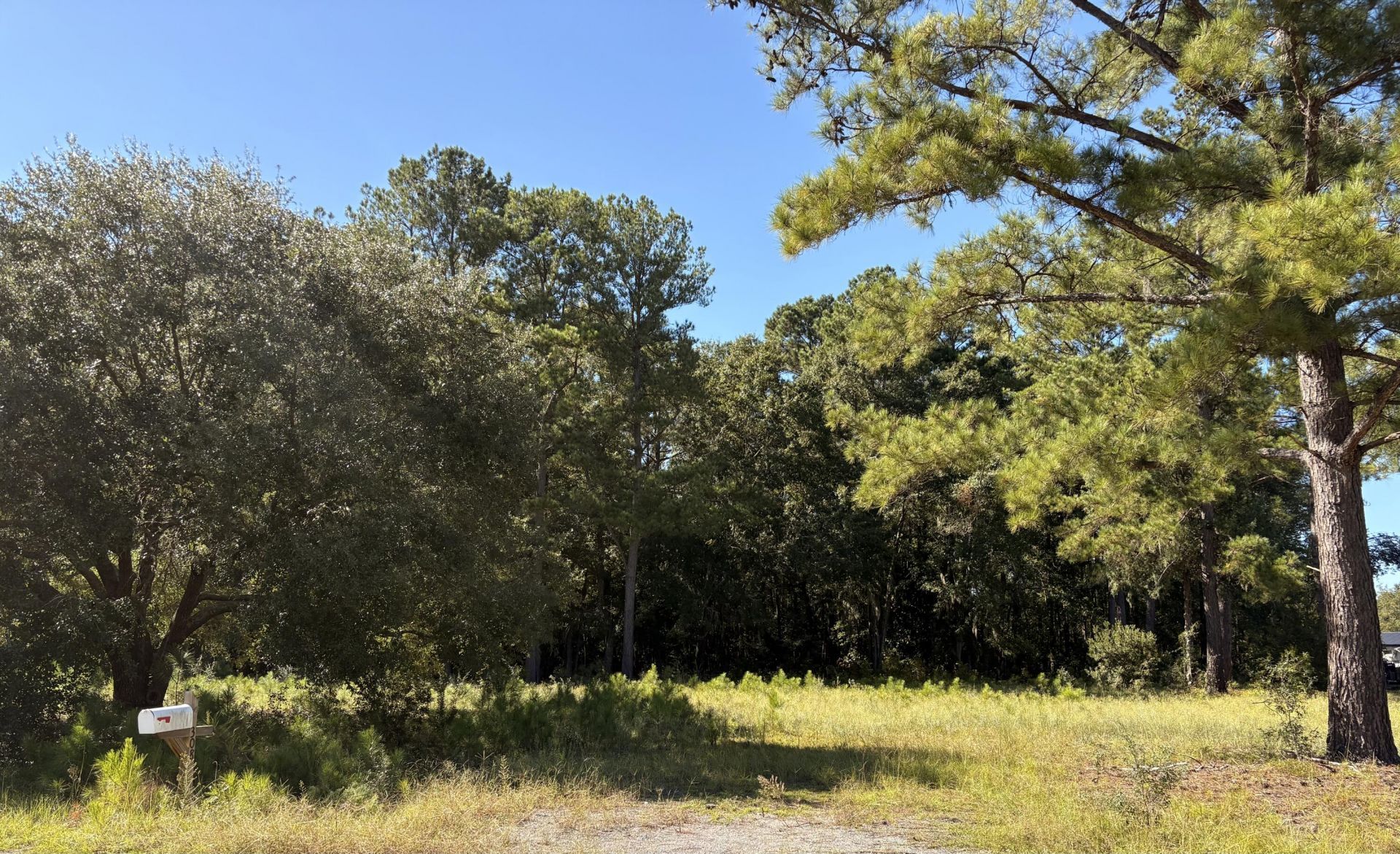 308 Piney Grove Road Photo 6