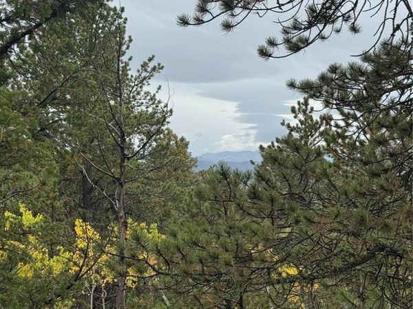 7935 County Road 51 , Divide, CO 80814