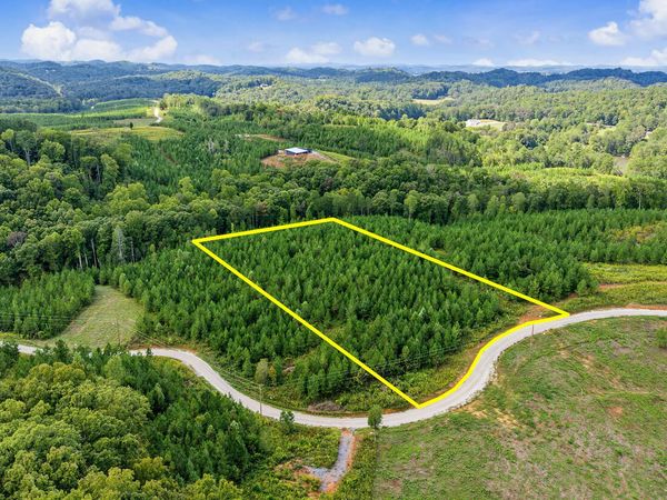 2067 Winding Trail , Vonore, TN 37885